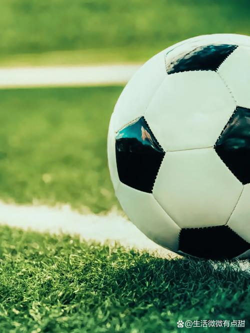 雷速体育APP界面展示